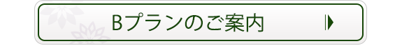 Bプランのご案内